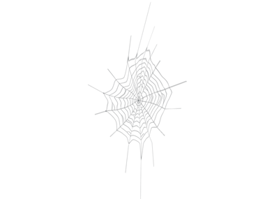 发散蛛网模型图片