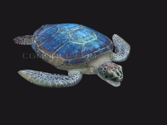 次世代深海海龟 带5种颜色 带全套动画 _3356656377作品_动物两栖_cg