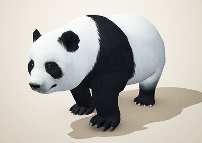 写实大熊猫 陆地动物 3ds max 带骨骼绑定动画 大熊猫 熊猫