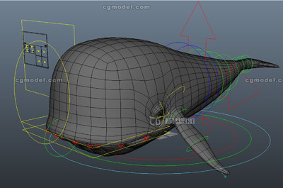 表情)卡通鲸鱼,海洋生物鱼类 带_蓝猫不淘气作品_动物哺乳_cg模型网
