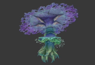 漂亮的魔幻植物蘑菇仙菇神奇的植物鲜花仙花奇异树奇异花奇花异草仙树