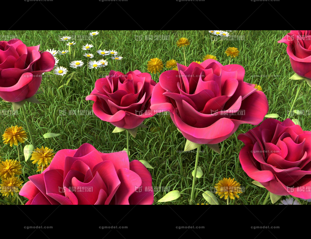 写实玫瑰花开花动画场景,开花,玫瑰花,动画,绽放,花开动画,草地,植物