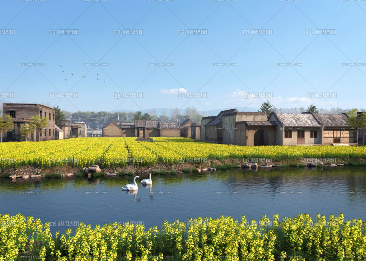 村莊動畫場景,飛鳥,天鵝,水邊,河邊,自然景觀,油田野,菜花,村落,農村