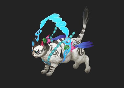 大花猫喵咪小猫仙猫猫坐骑