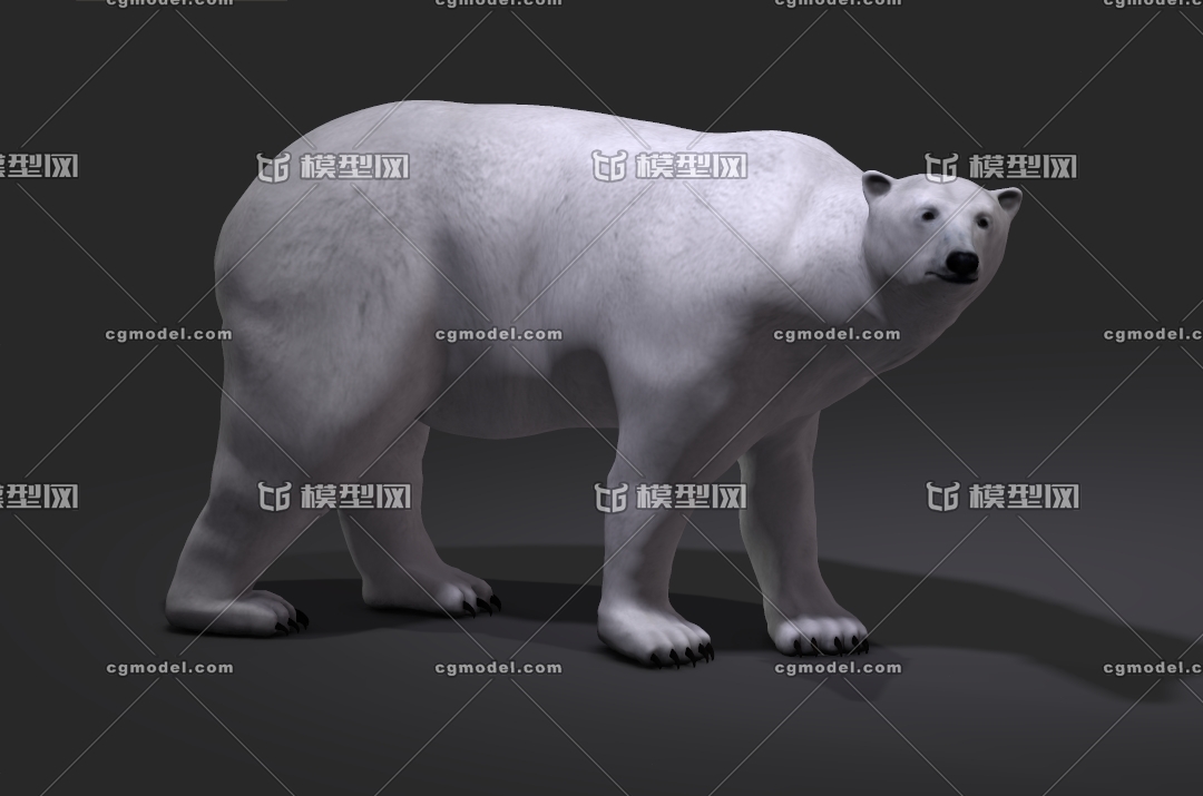 精细的北极熊polar Bear 熊 南北熊写实棕熊写实北极熊南极熊 南北极动物北极熊白熊 Cg模型网 Cgmodel 三维设计师交流互动平台 专注多品类3d模型下载 原创作品分享 软件学习