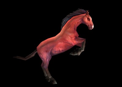 枣红马烈马带动画