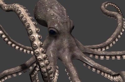 大章鱼海怪恐怖图片