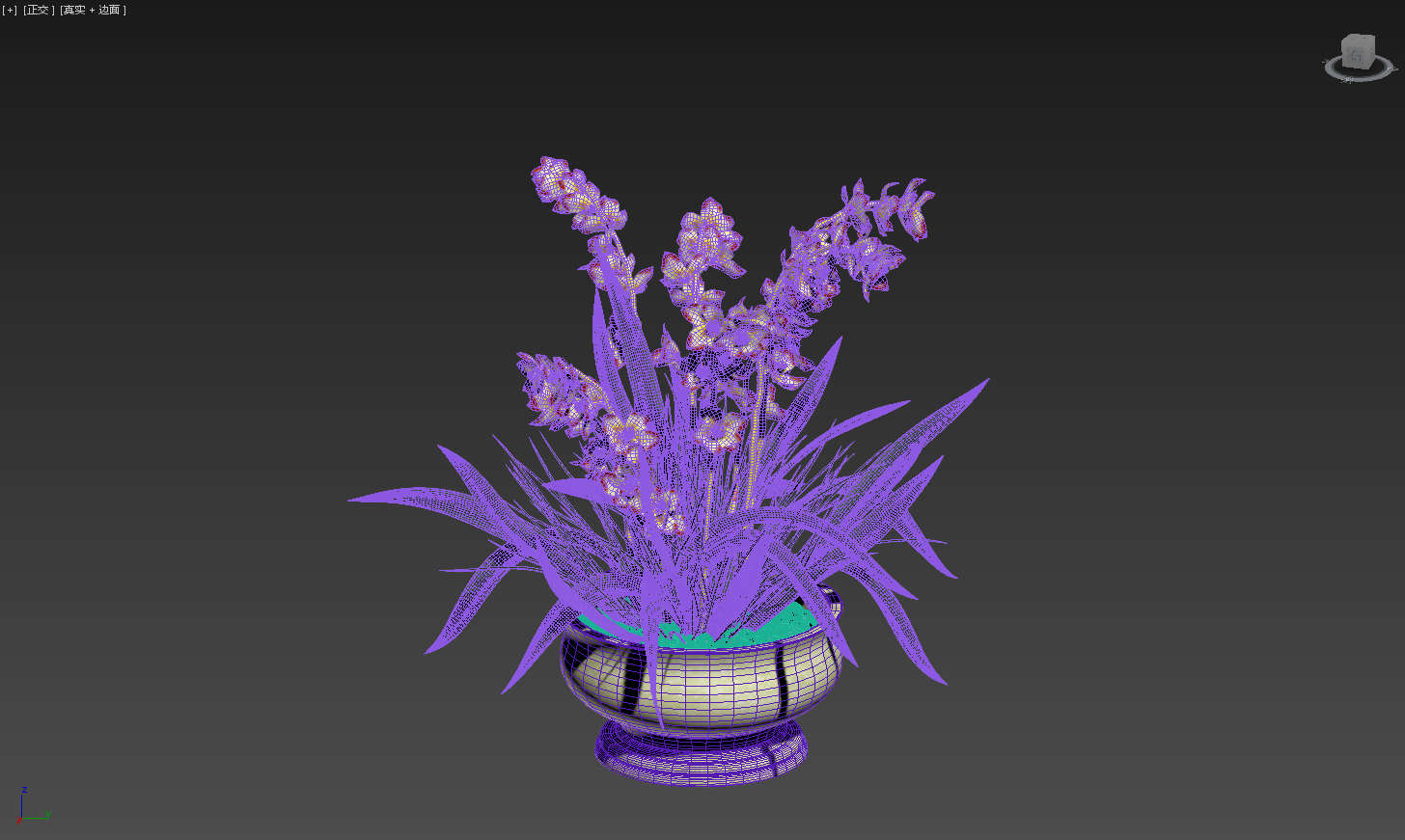 ***室内花卉植物(兰花)模型-花卉模型库-3ds Max(.max)模型下载-cg模型网