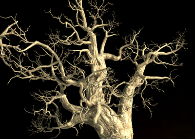 写实枯树一颗,枯树枝,枯树干,造型怪异的枯树