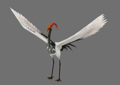 仙鹤鹤仙子白鹤