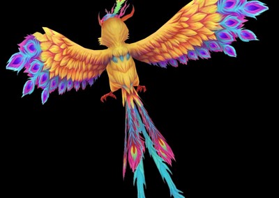 漂亮的卡通凤凰小鸟飞鸟神兽宠物五彩凤凰火鸟鹦鹉七彩凤凰七彩鸟神鸟