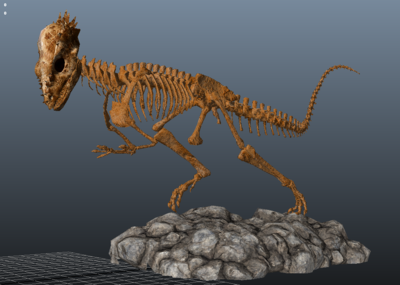 肿头龙 古生物化石 恐龙博物馆 地质博物馆 恐龙化石骨架 3d模型 史前