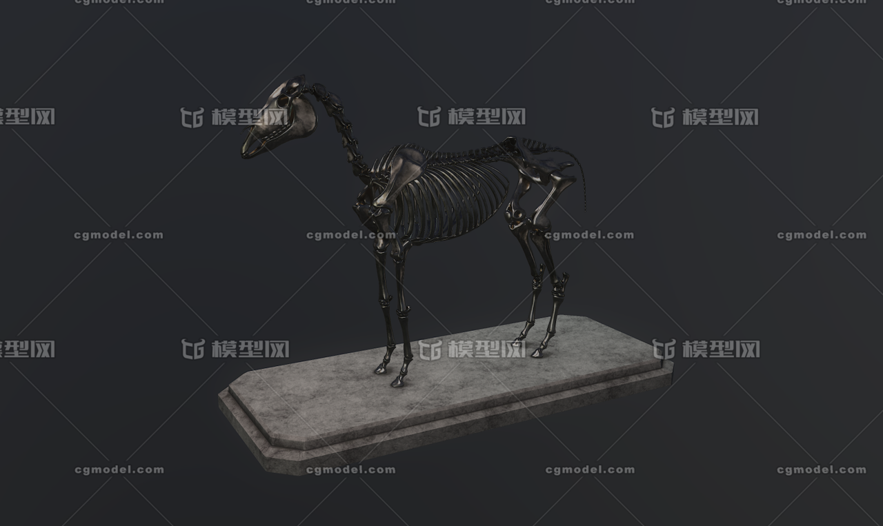 马的骨架 千金买马骨 Cg模型网 Cgmodel 三维设计师交流互动平台 专注多品类3d模型下载 原创作品分享 软件学习