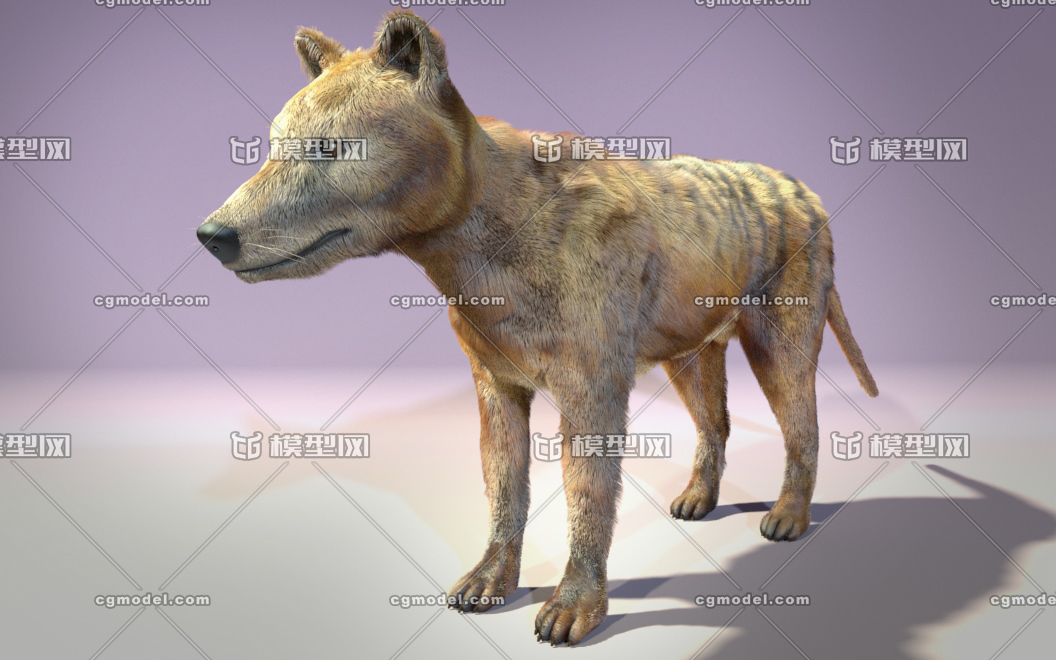 电影毛发动物22-原创袋狼,带shave_七色模型作品_动物哺乳_cg模型网