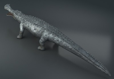 远古帝王鳄   史前巨鳄    博物馆实体标本  【有绑定】写实肌鳄