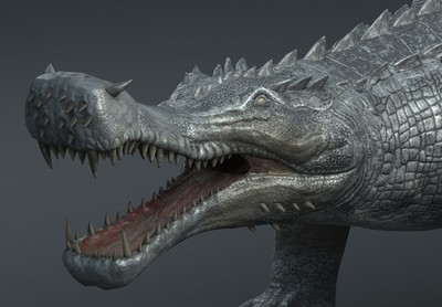 远古帝王鳄   史前巨鳄    博物馆实体标本  【有绑定】写实肌鳄