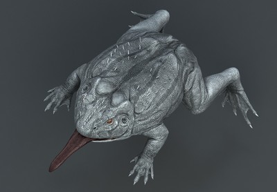 写实  **魔鬼蛙    【有绑定】 魔鬼蟾蜍  巨型青蛙