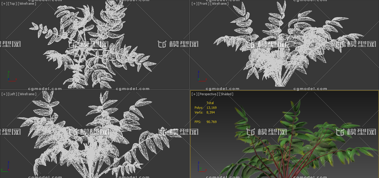 动态生长花草树木 点缓存循环往复模型-花卉模型库-3ds Max(.max)模型下载-cg模型网