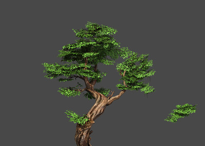 高精度写实的几颗树.胡杨树,高模.3转2.绿树