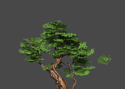 高精度写实的几颗树.胡杨树,高模.3转2.绿树
