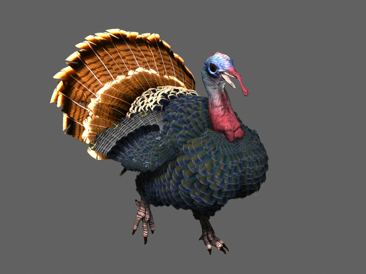 次世代火鸡_3356656377作品_动物哺乳_cg模型网