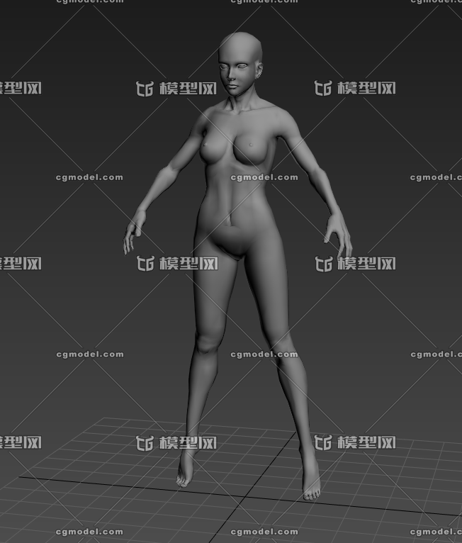 女人女人体建模参考肌肉素模解剖人体模型模型参考 Cg模型网 Cgmodel 三维设计师交流互动平台 专注多品类3d模型下载 原创作品分享 软件学习