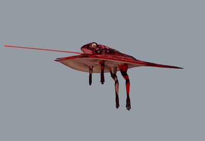 写实血红飞蛙 亚马逊红色箭毒蛙 飞蛙