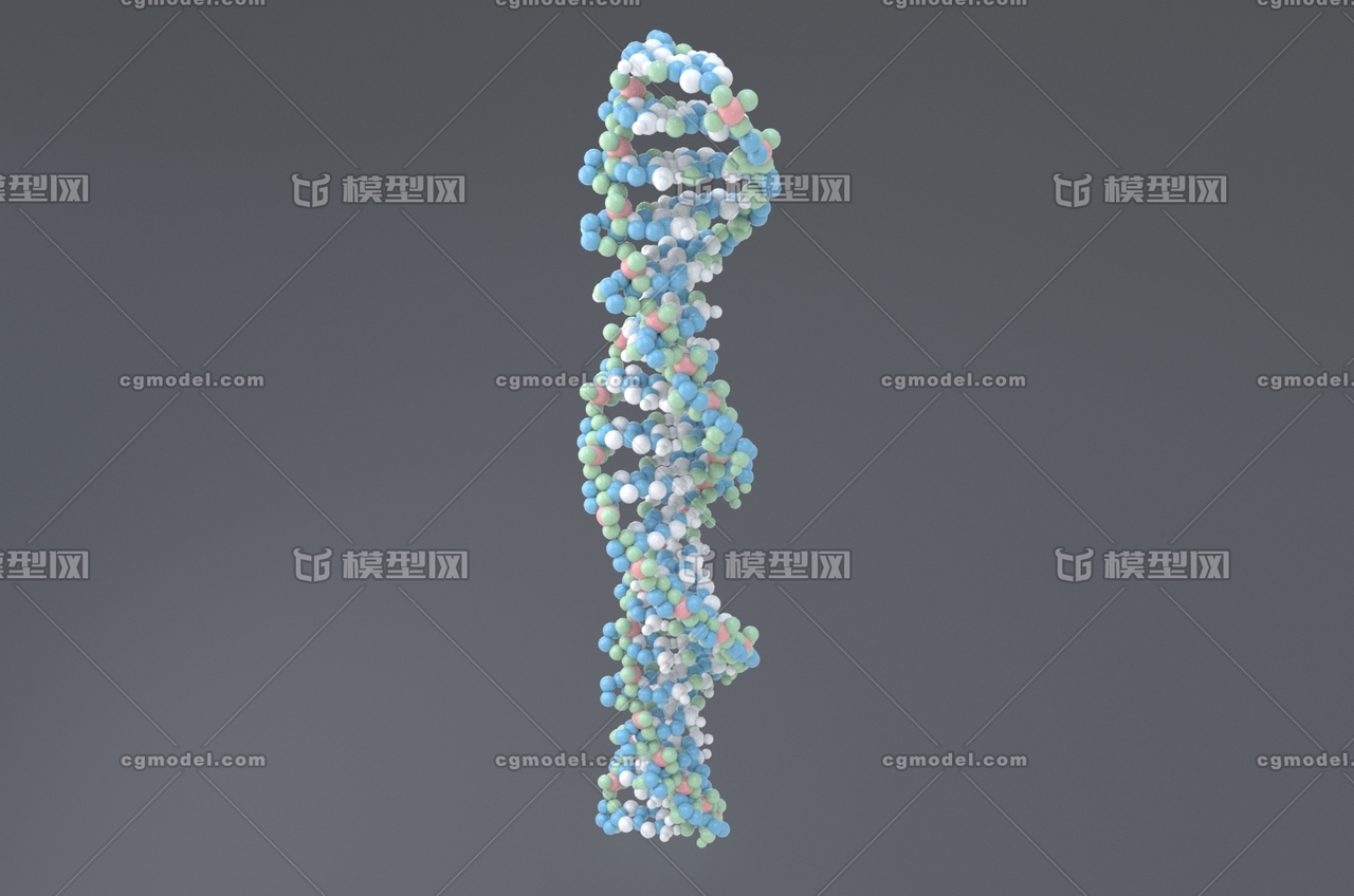 人类dna 脱氧核糖核酸 dna分子