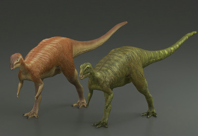 恐龙系列—橡树龙 写实食草恐龙 侏罗纪恐龙