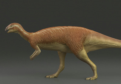 恐龙系列—橡树龙 写实食草恐龙 侏罗纪恐龙