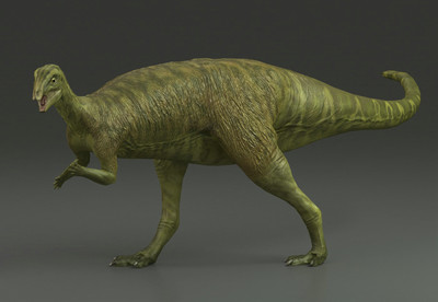 恐龙系列—橡树龙 写实食草恐龙 侏罗纪恐龙