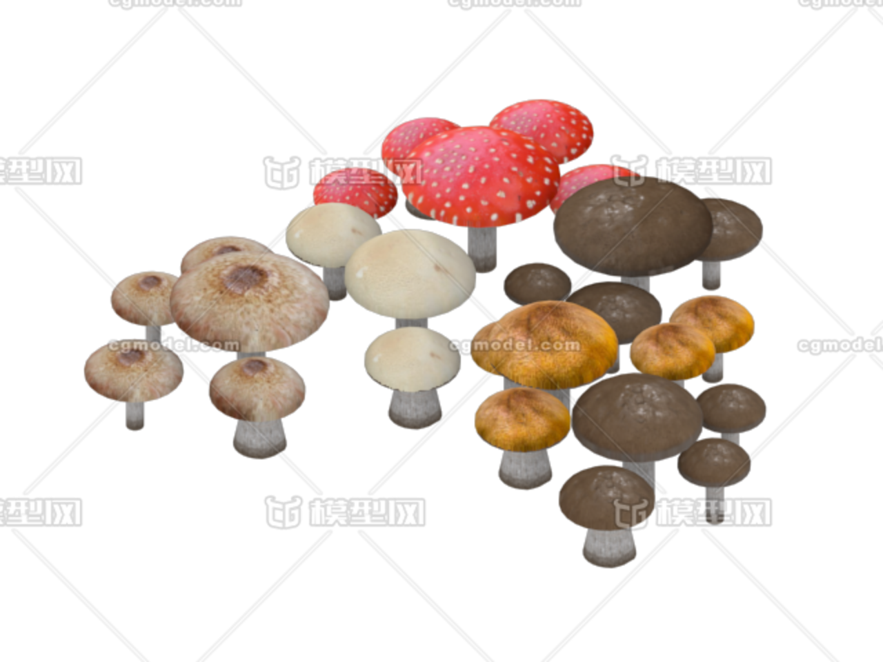 各类蘑菇 写实蘑菇模型-水果蔬菜模型库-3ds Max(.max)模型下载-cg模型网