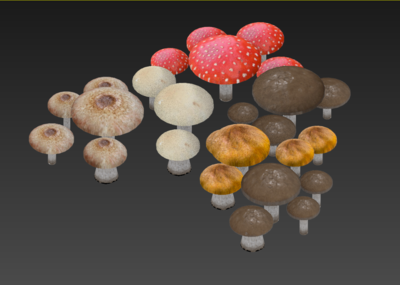 各类蘑菇 写实蘑菇模型-水果蔬菜模型库-3ds Max(.max)模型下载-cg模型网