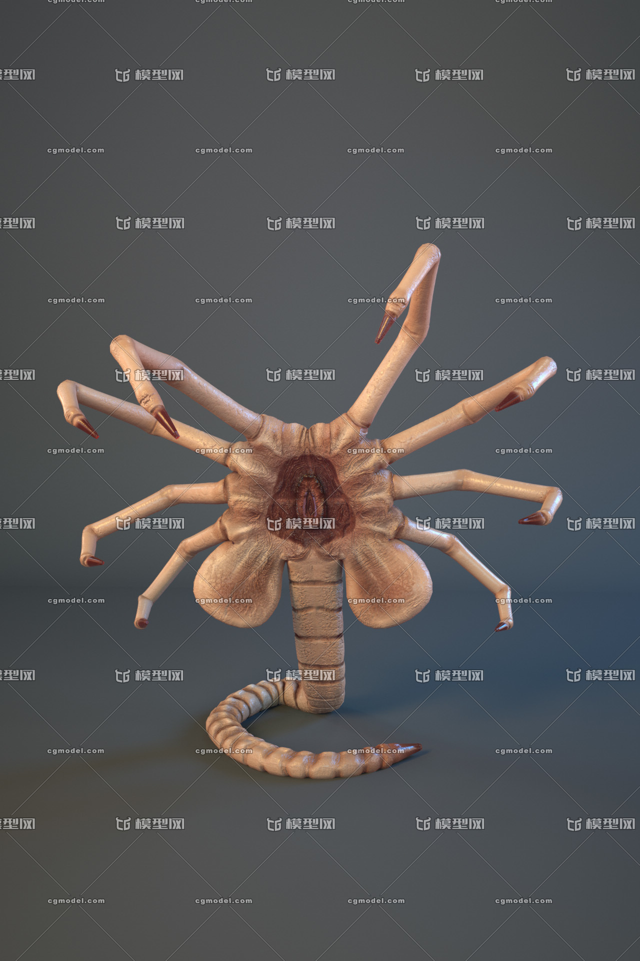 抱脸虫 异形 【带绑定】次世代 科幻 影视