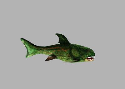 远古生物锯齿鱼带动画