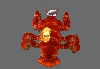 精美龙虾厨师  大龙虾  火红虾怪  大虾   虾王