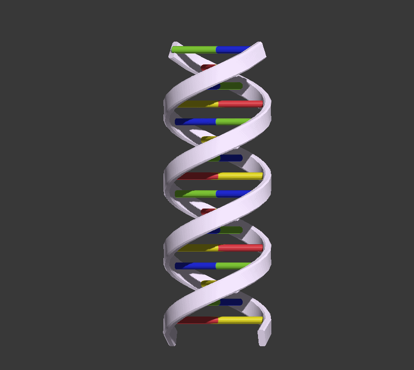 dna 分子模型 dna生物鏈 帶貼圖 帶旋轉動畫 希望大家喜歡!