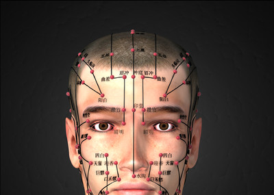 医学动画,人体经络,经络模型,任督二脉,经脉,穴位,穴道,中医人体经络