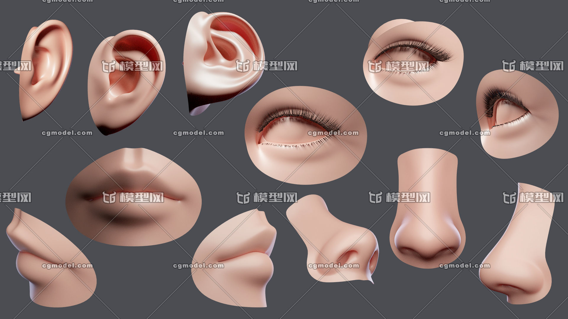 五官人脸元素 合理布线模型-人体器官/组织模型库-3ds Max(.max)模型下载-cg模型网