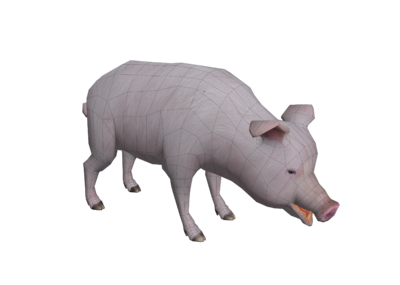手绘低模猪_哈哈猫作品_动物哺乳_cg模型网