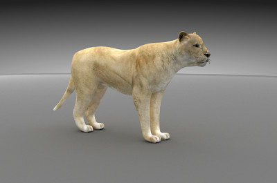 精致狮子3d模型