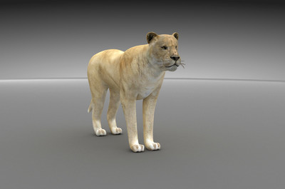 精致狮子3d模型