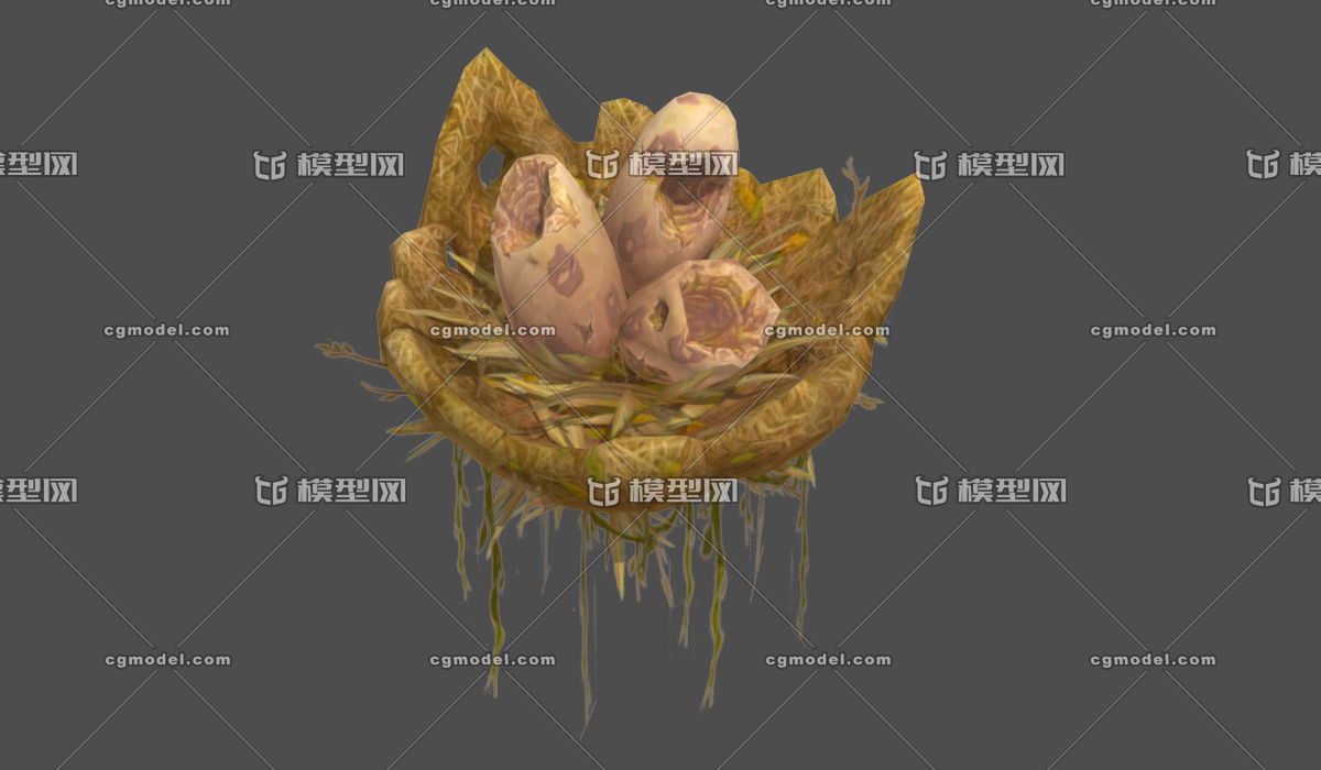 廢棄的鳥窩,鳥巢,鳥蛋,草窩,破爛的蛋殼,卵蛋