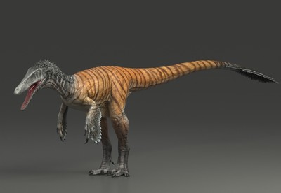 写实 南方盗龙  影 视 级  白垩纪晚期 驰龙 多款皮肤  次世代 austro