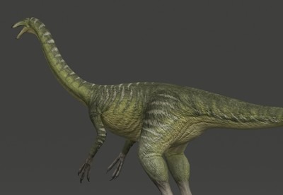 写实  似鸡龙 gallimimus  次世代4 k 恐龙   白