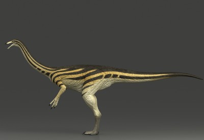 写实  似鸡龙 gallimimus  次世代4 k 恐龙   白垩纪 似鸟龙侏罗纪