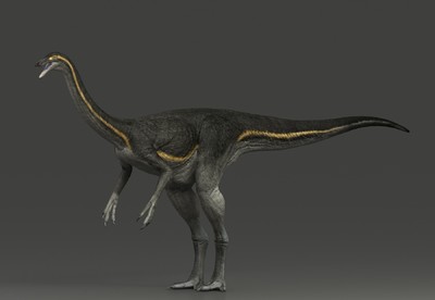 写实  似鸡龙 gallimimus  次世代4 k 恐龙   白