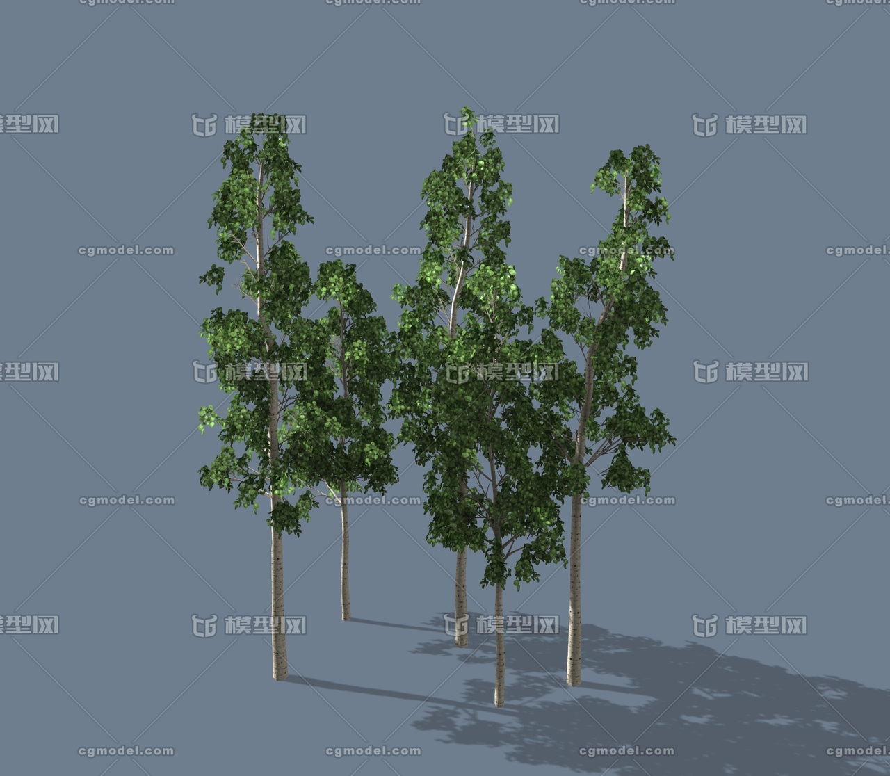 小树林 小树模型-树木模型库-3ds Max(.max)模型下载-cg模型网
