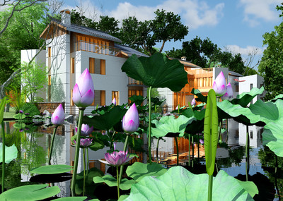 荷塘动画,荷花,地产别墅,莲藕,水塘,景观荷塘,荷叶,地产动画,分镜头