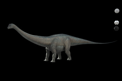 (有动画)写实梁龙 写实恐龙 雷龙 侏罗纪 腕龙 有警惕环顾和喝水动画